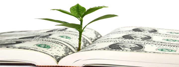 Small Business NonProfit